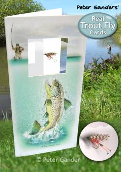 Real Trout Fly Cards – Peter Gander