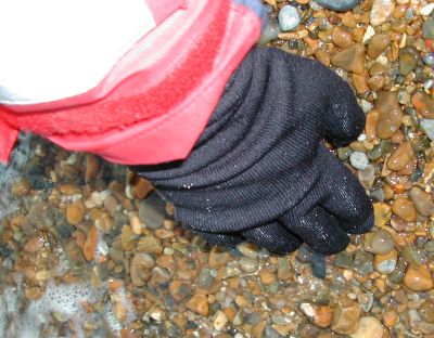 SealSkinz Gloves & Socks