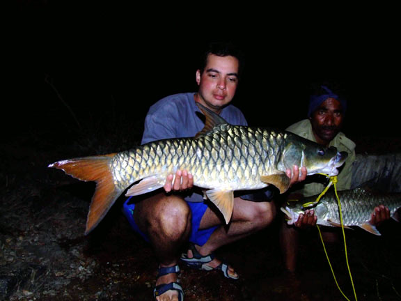 Another Couple of Gold Mahseer.
