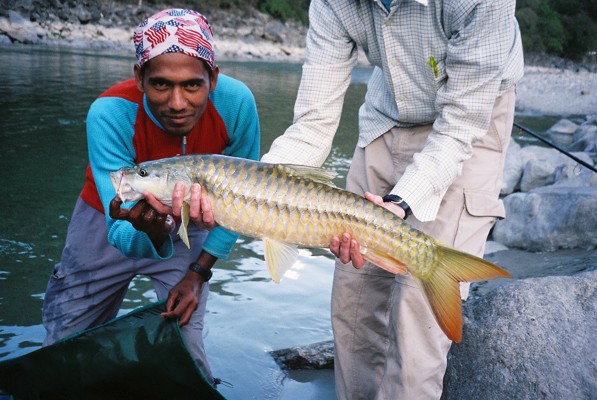 my best mahseer to date (after a great deal of effort!)