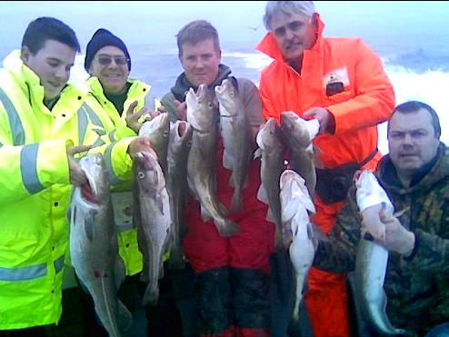 Lots of prime whitby cod for the local charter boats