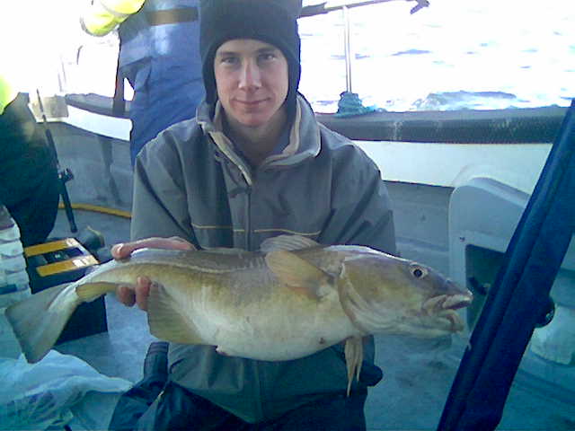 A big cod catching tip - use a mackerel fillet
