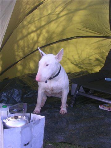 its warmer in the bivvy