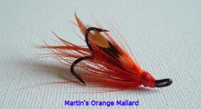 Orange Mallard.JPG