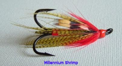 Millennium Shrimp.JPG