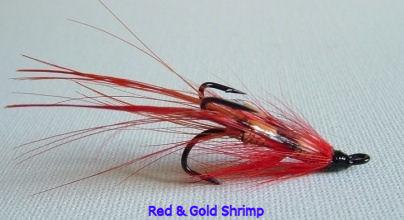 Red and Gold shrimp.JPG