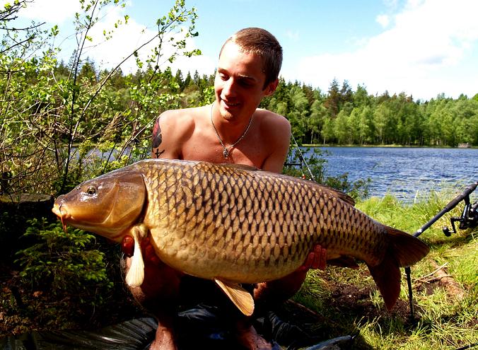 Swedish Common 34,6 lbs 