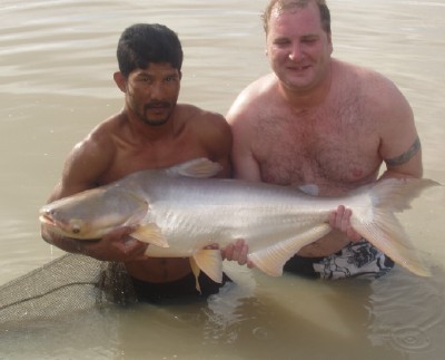 Mekong Catfish .jpg