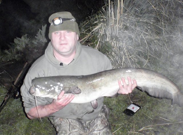 Wels Catfish - Member's Gallery - Fishing Forums from Anglers' Net