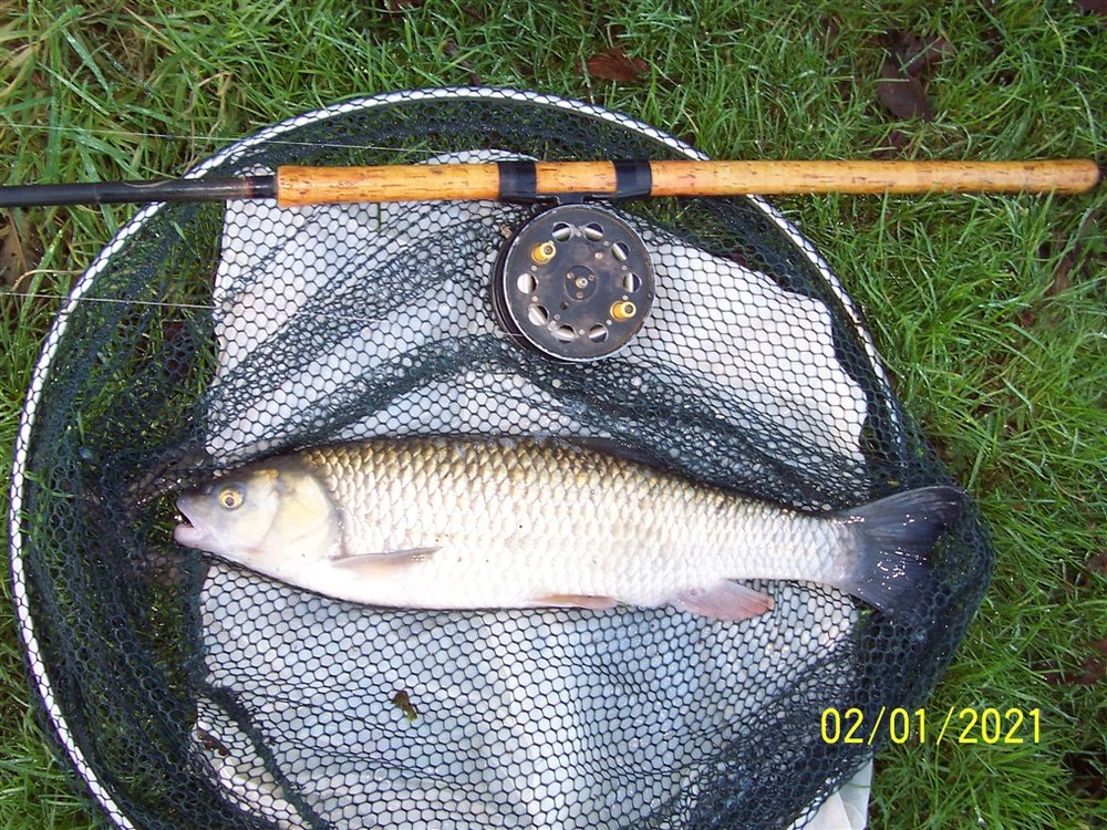 First fish of 2021.jpg