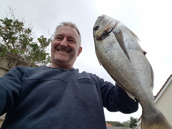3 and a half pounds of gilthead bream