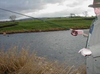centerpin casting