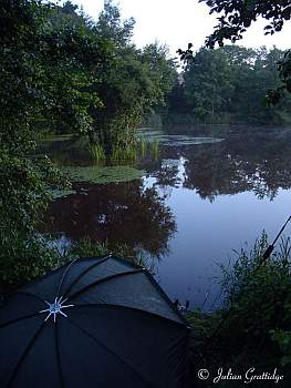 syndicate carp fishing into part