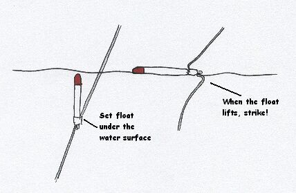 How To Stalk Carp - Anglers' Net