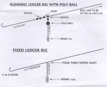 My Perch Rigs - Anglers' Net