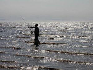 	Angling Trust and Fish Legal Urge Members to Back the Recovery of Recreational Angling on the Firth of Clyde