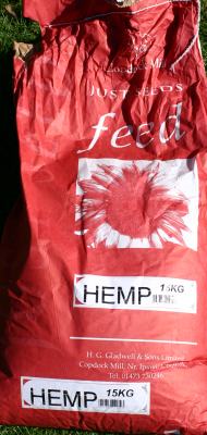 particle_hemp_543985448.jpg