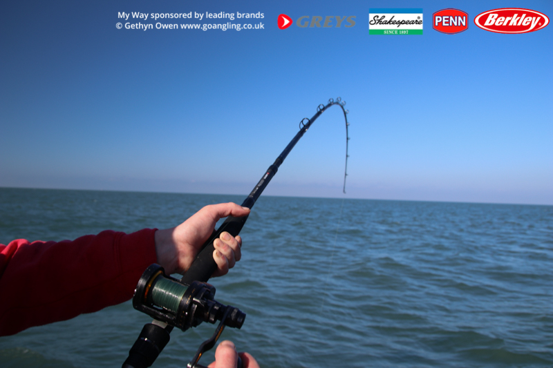 penn fathom 2 speed reels
