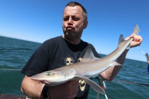 My-Way-2-Smoothhound-10-300x200.jpg