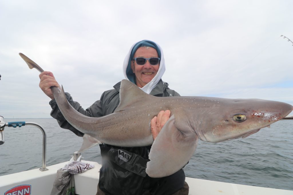 My-Way-2-Smoothhound-5-1024x683.jpg