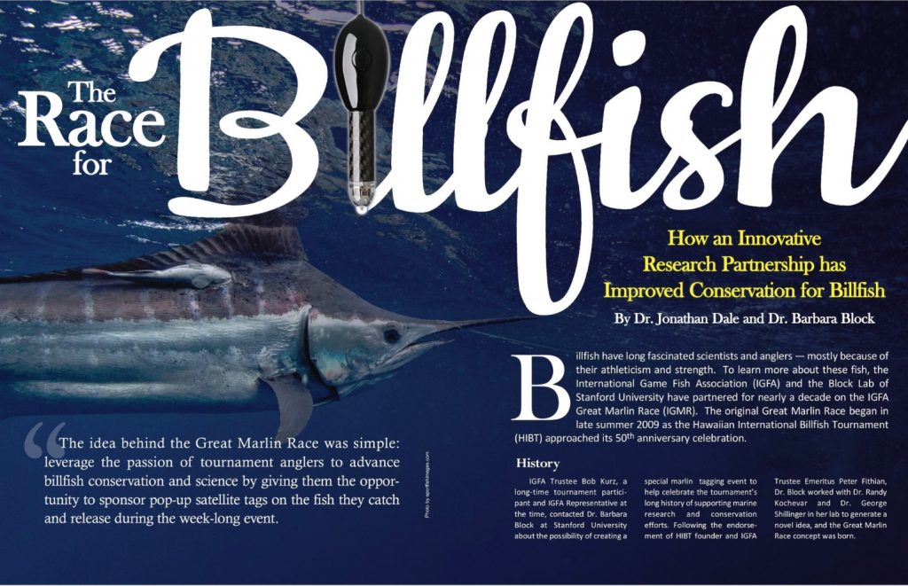 Race20for20Billfish20Article-1024x661.jp