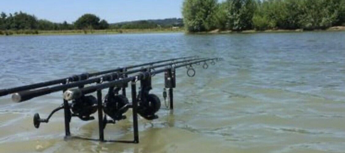 Complete Carp Fishing Setup For Sale - Anglers' Net