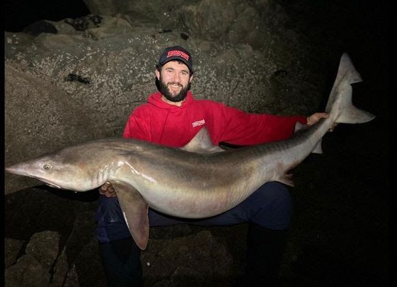 Two Shore-Caught Fish Confirmed As Records - Anglers' Net